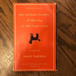 The Curious Incident of the Dog in the Night Time